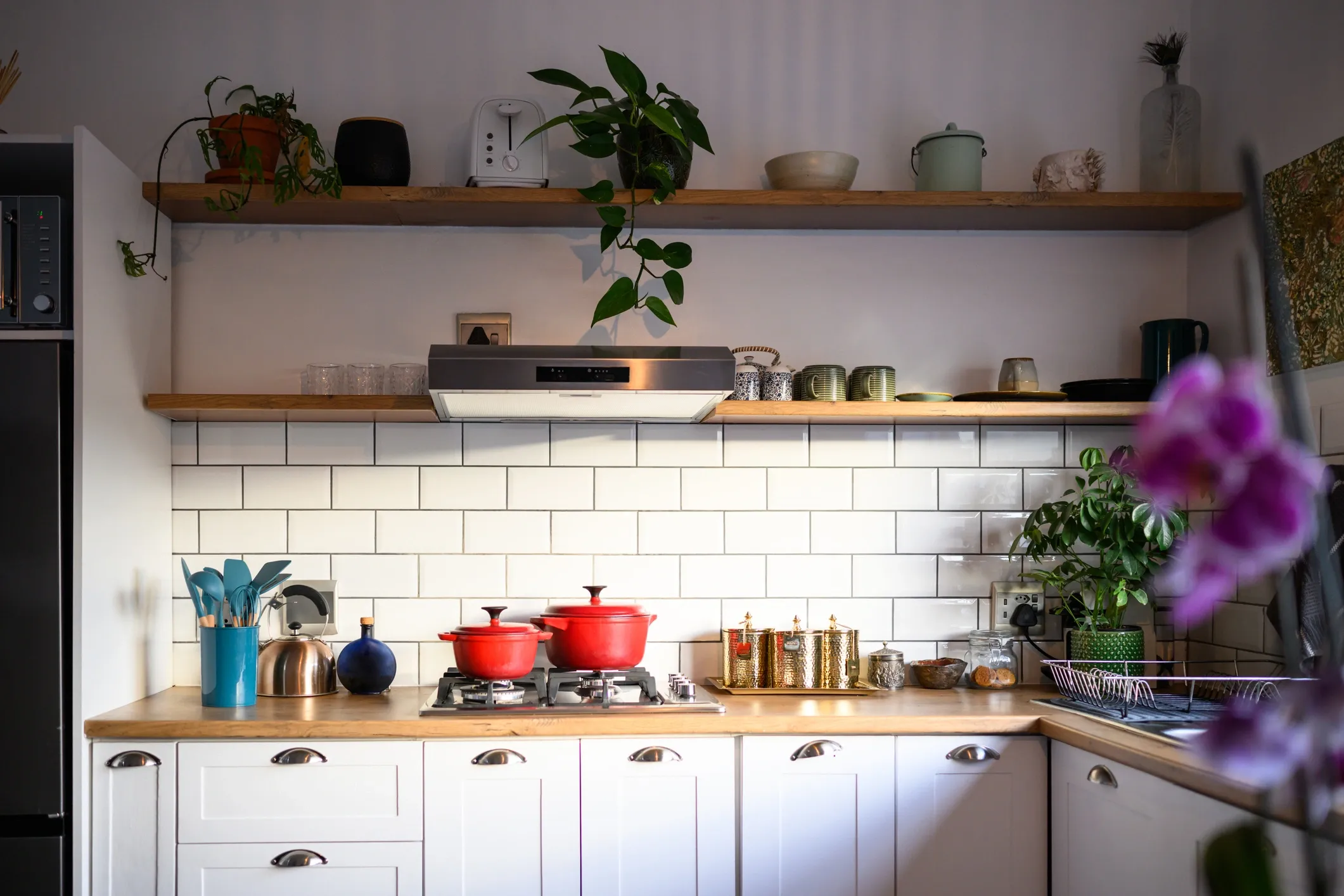 Home & Kitchen